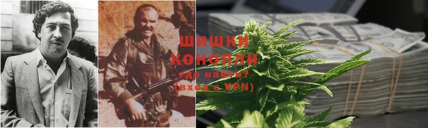 тгк Каменка