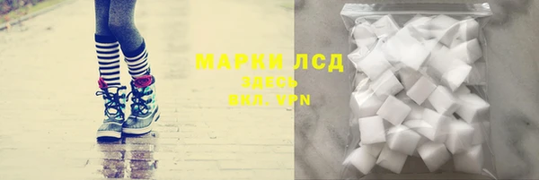 тгк Каменка
