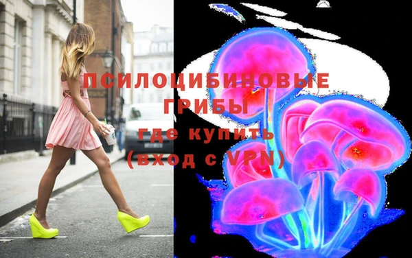 тгк Каменка