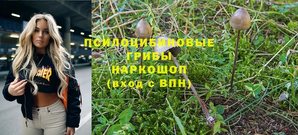 тгк Каменка