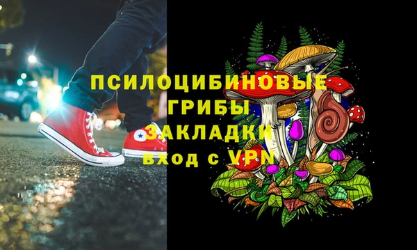 соль курить ск Каменногорск