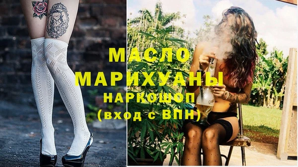 тгк Каменка