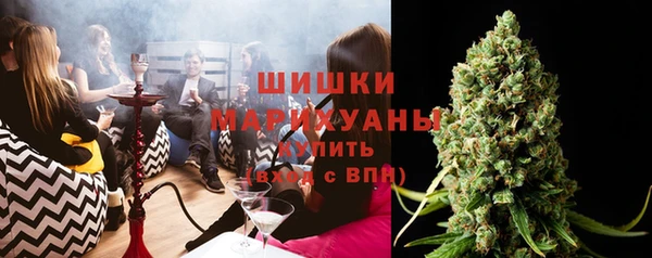тгк Каменка