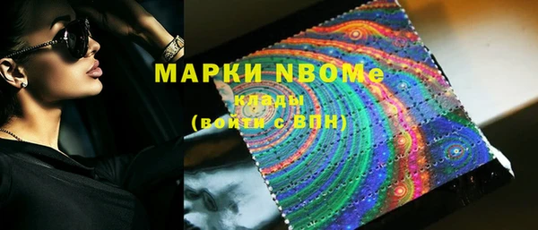 тгк Каменка