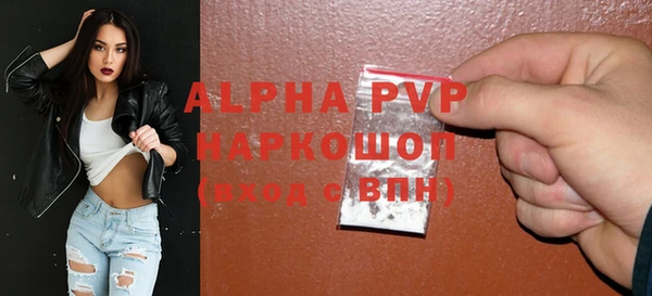 тгк Каменка