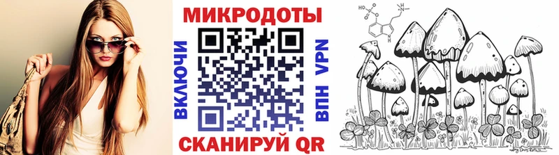 Галлюциногенные грибы Psilocybe  Купить  Харовск 